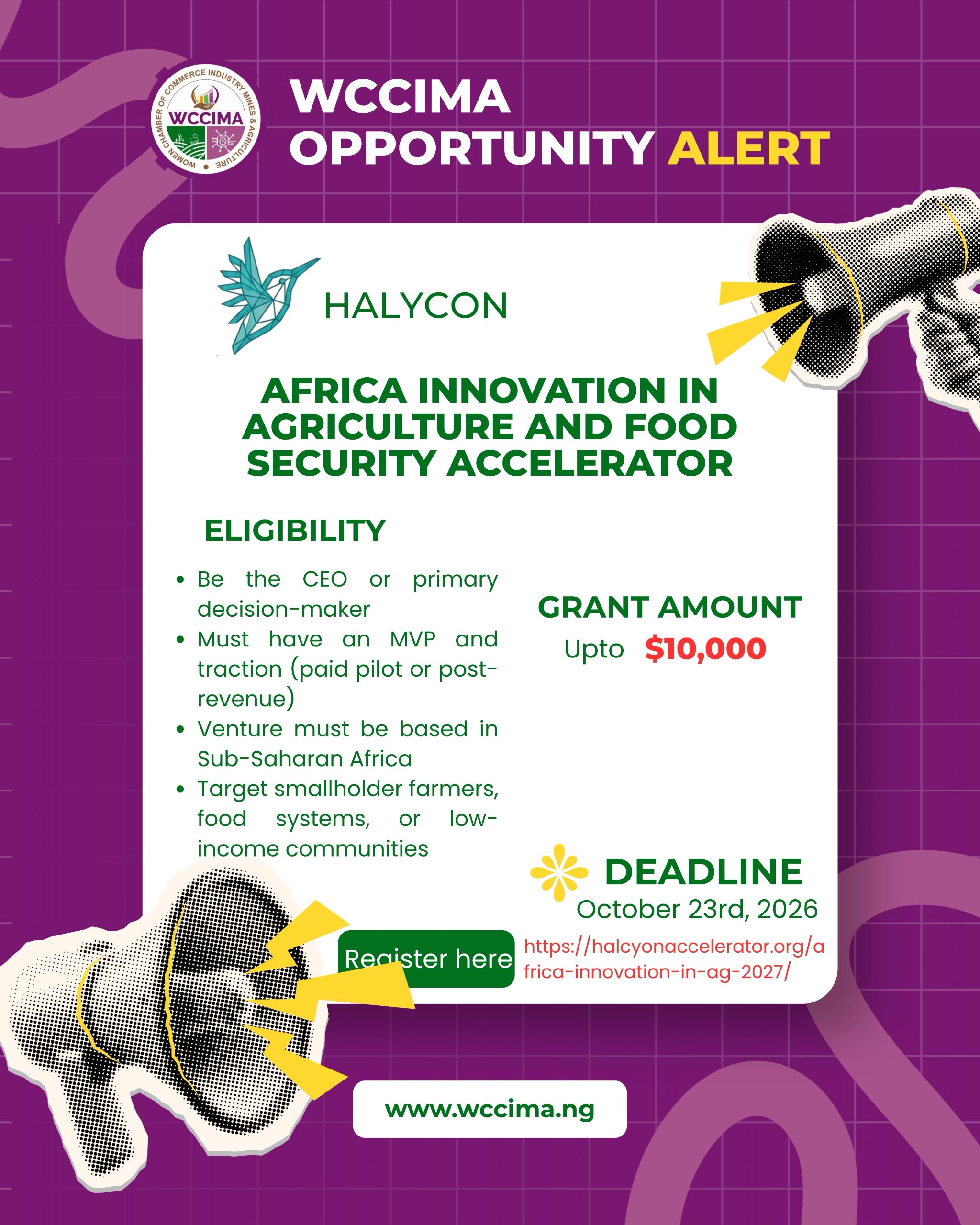 Africa Innovation in Agriculture and Food Security Accelerator